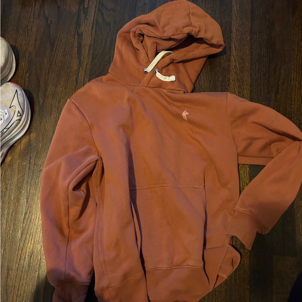 Cotopaxi Rust Hoodie